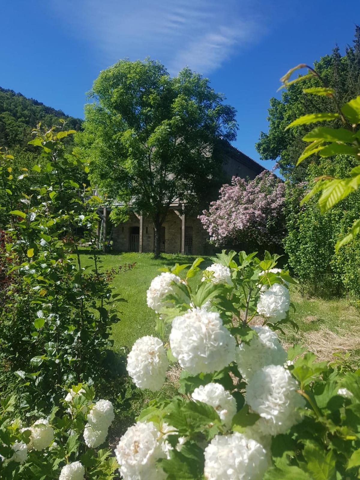 Les Gites Du Saro Chabestan Extérieur photo