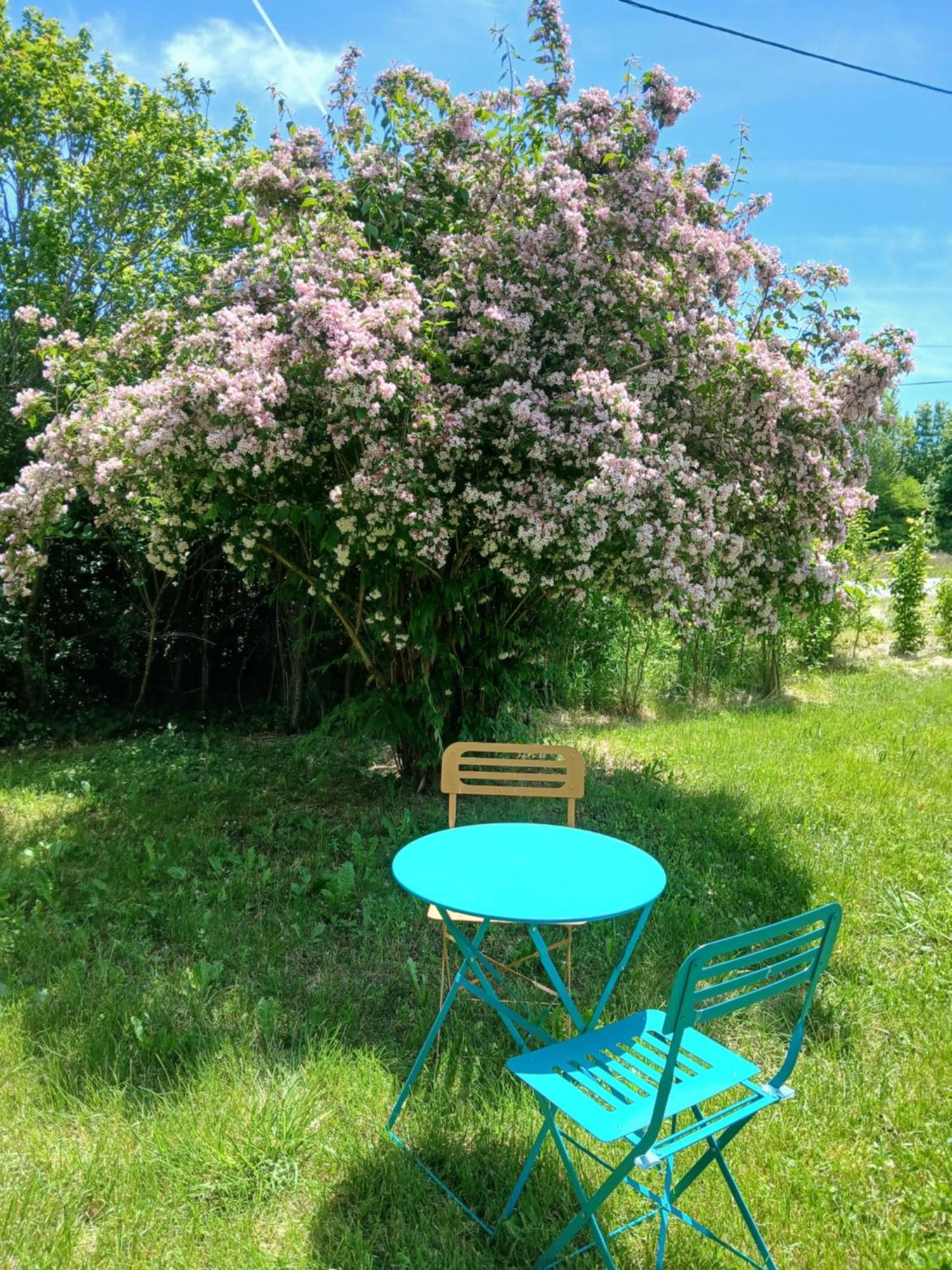 Les Gites Du Saro Chabestan Extérieur photo